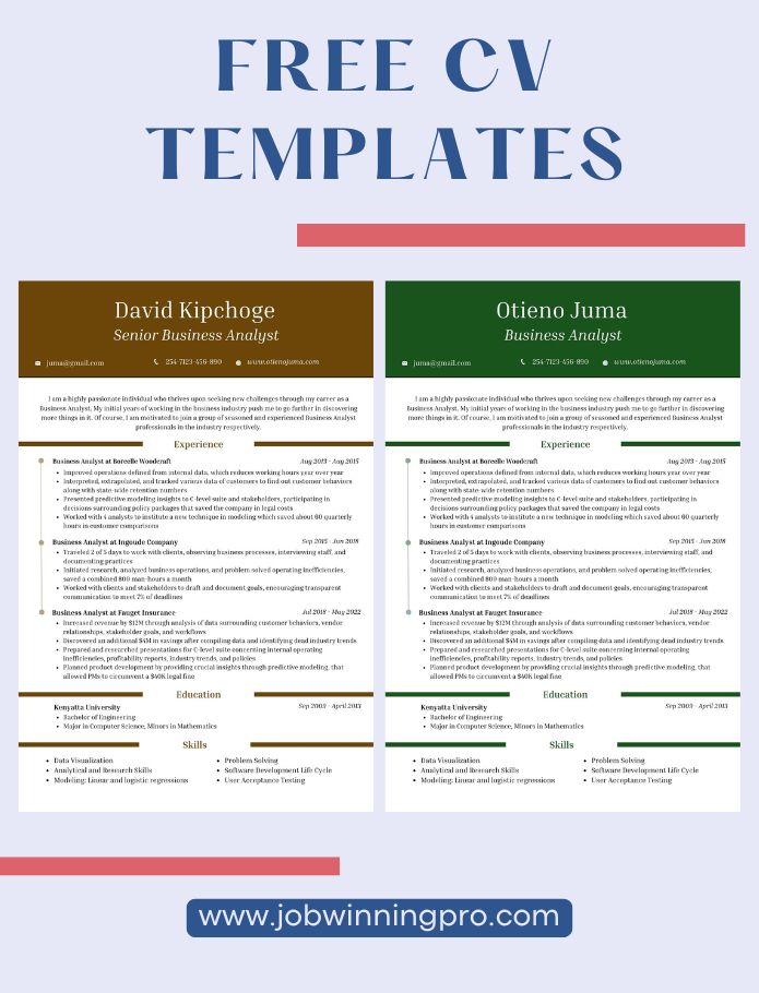 Job Winning Pro CV Templates